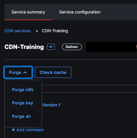 Purge cache